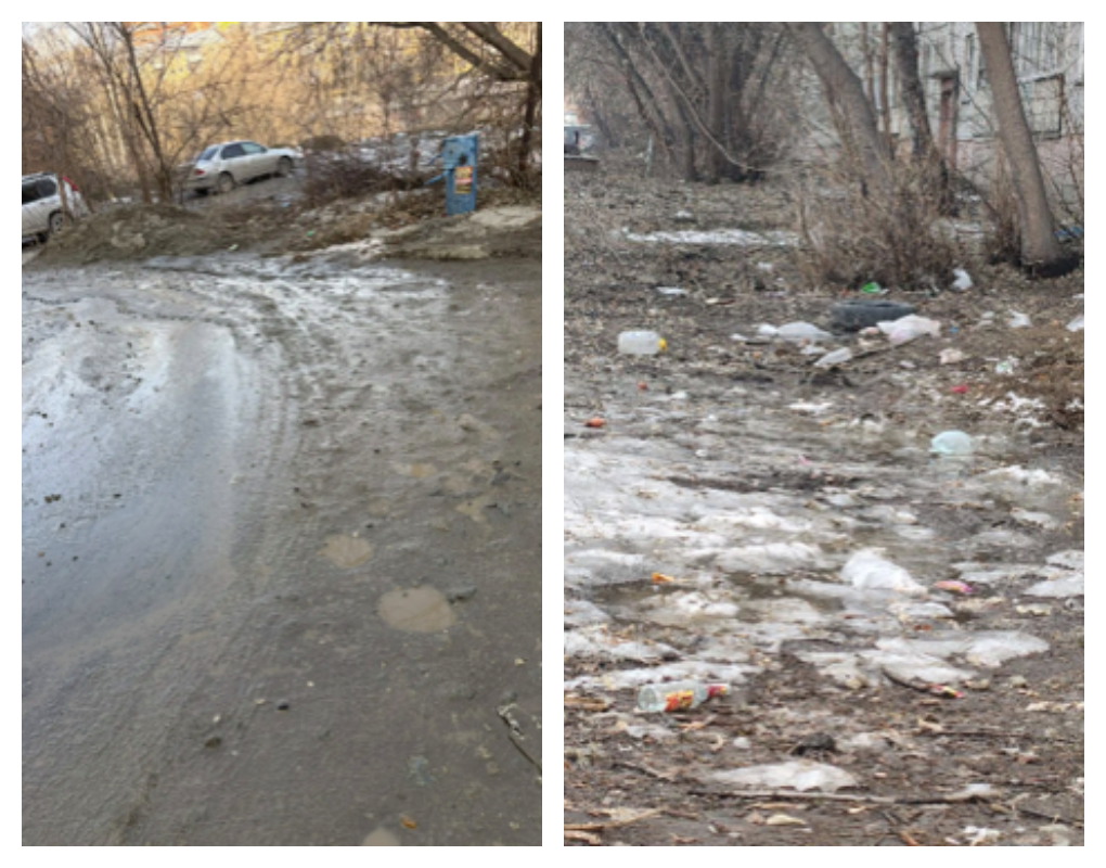 Фото В Новосибирске прокуратура требует от мэрии очистить город от грязи и пыли – фотофакт 3